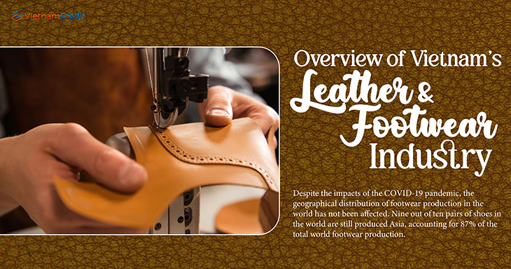 Overview of Vietnam’s leather & footwear industry